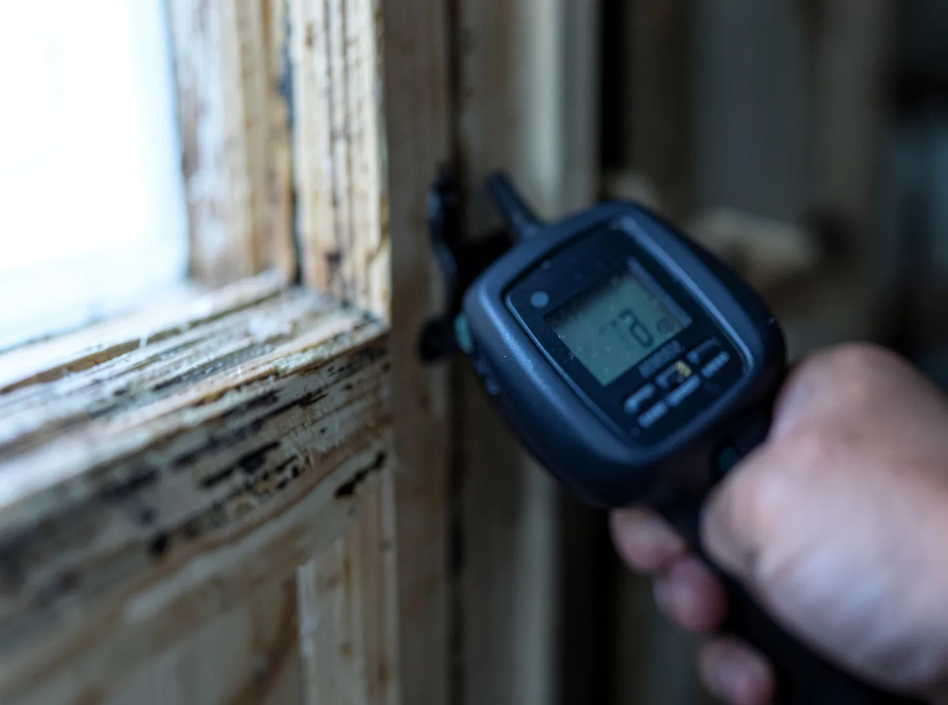 Moisture Inspection And Documentation in Paicines, CA